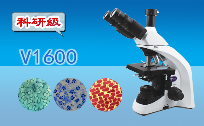 顯微鏡的工作原理以及高倍顯微鏡的使用方法是什么呢？
